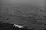 海之子——一个感动人心的电影